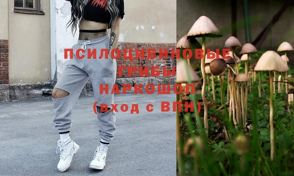 индика Россошь